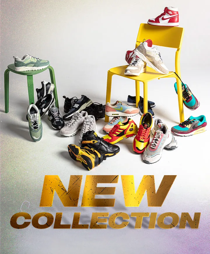 New Collection
