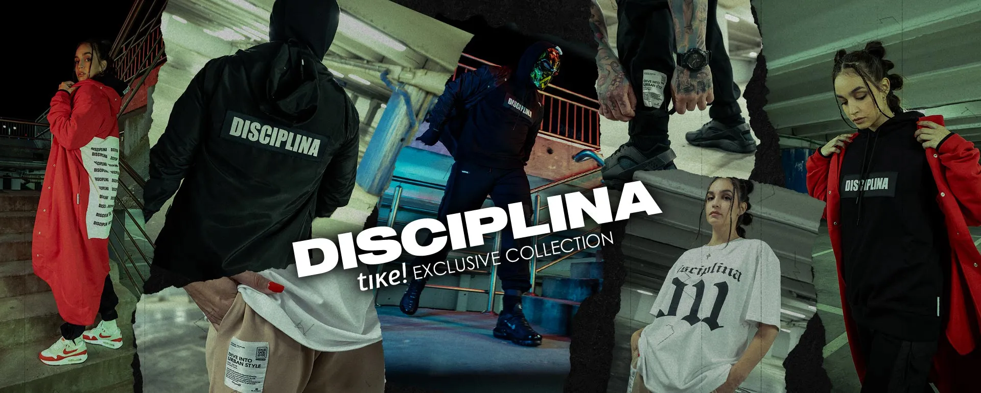 Disciplina