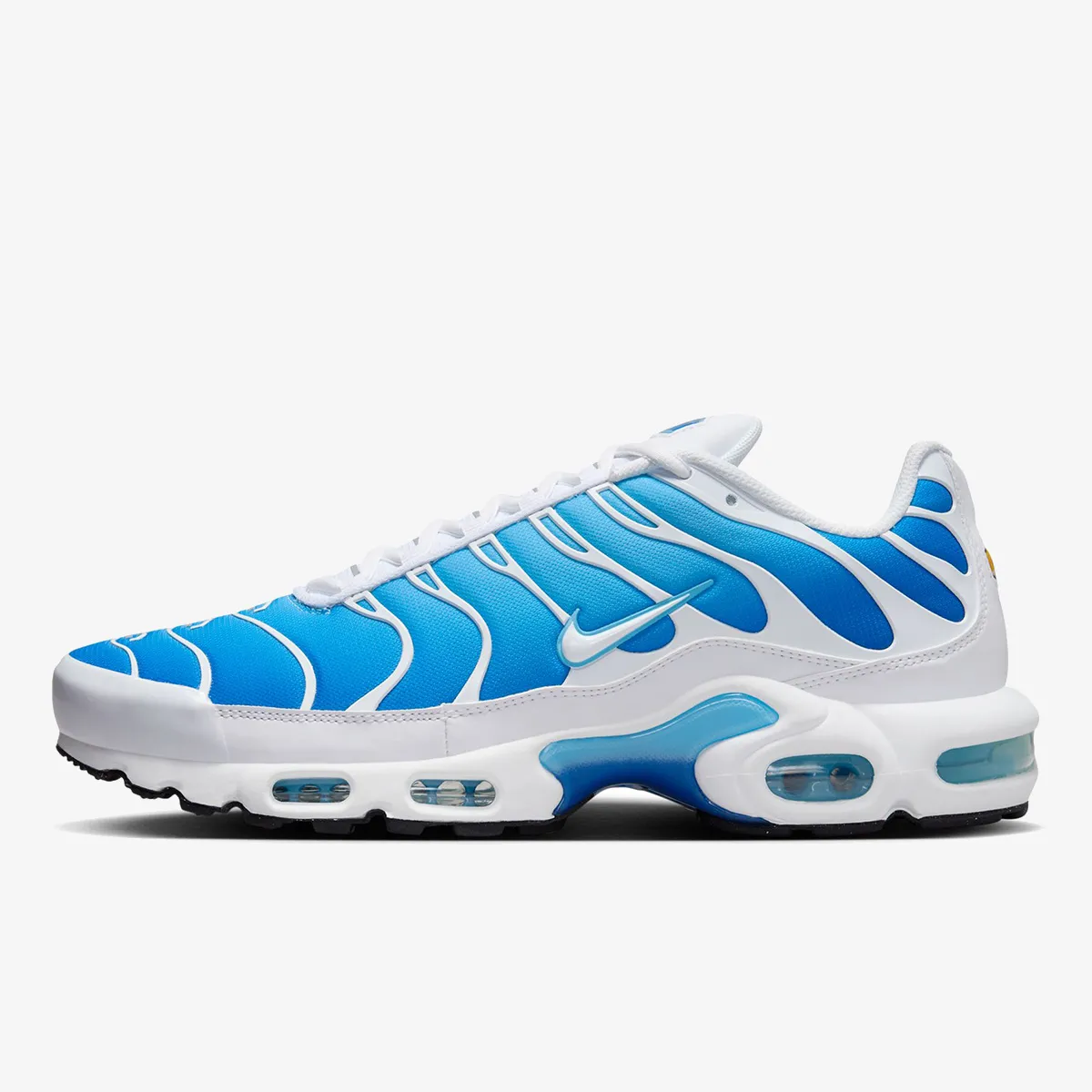 NIKE Patike NIKE AIR MAX PLUS FWCO