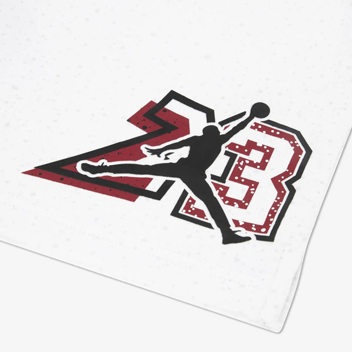 JORDAN Šorc In The Paint 