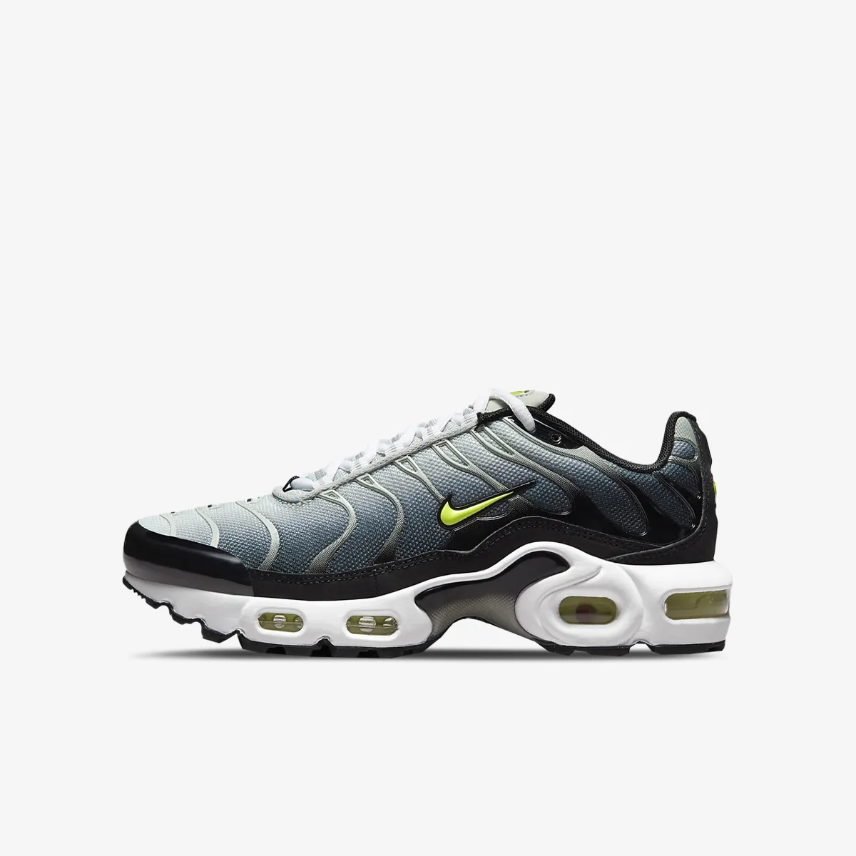 NIKE Patike AIR MAX PLUS RMSTR BG 