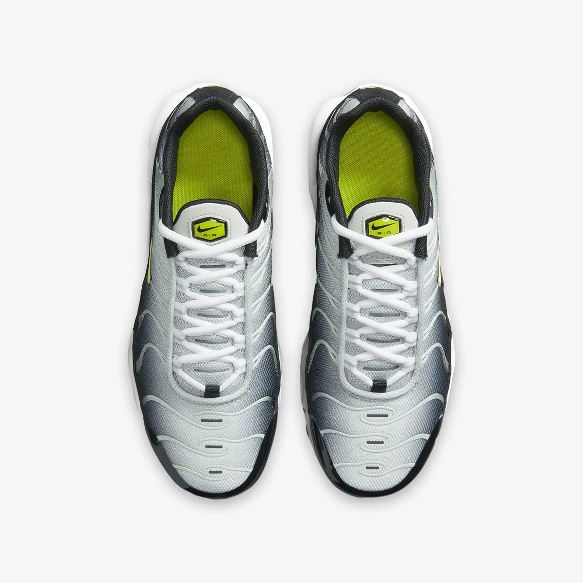NIKE Patike AIR MAX PLUS RMSTR BG 