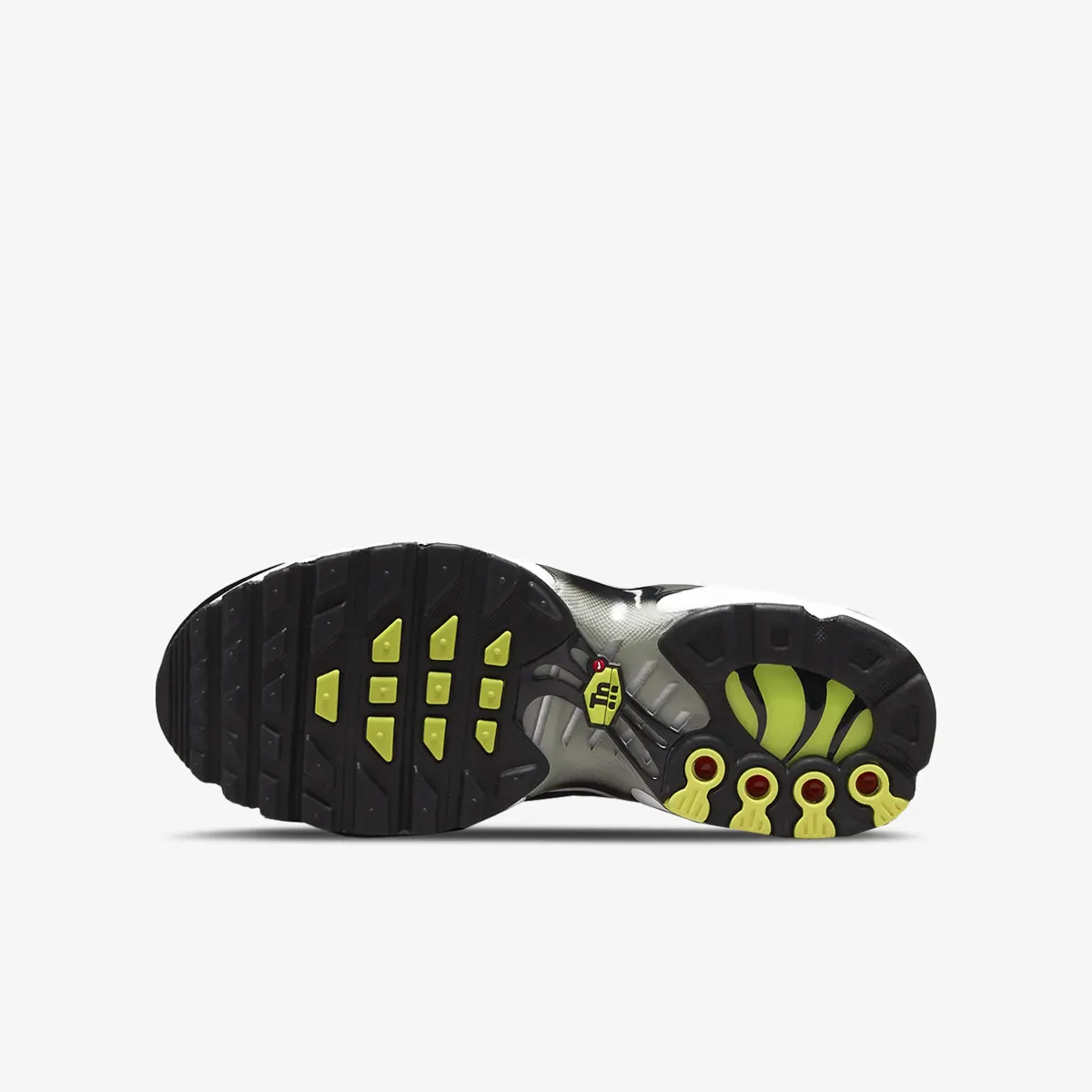 NIKE Patike AIR MAX PLUS RMSTR BG 