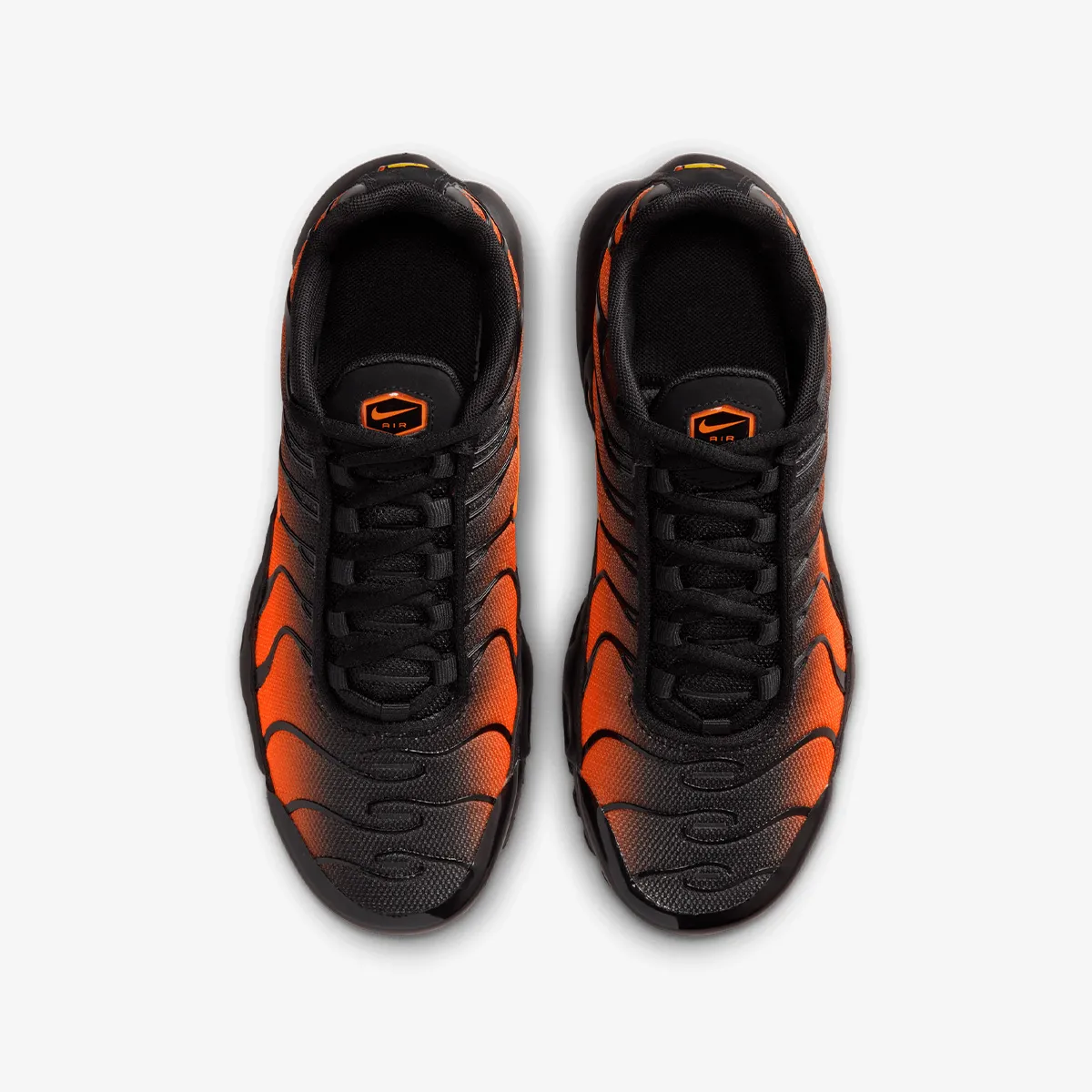 NIKE Patike AIR MAX PLUS BG 