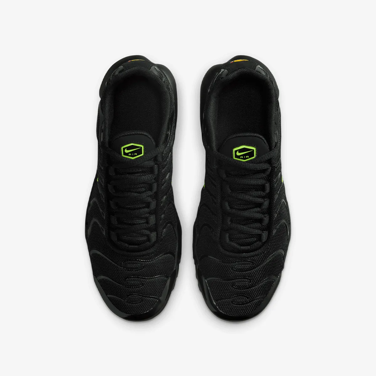 NIKE Patike AIR MAX PLUS BG 