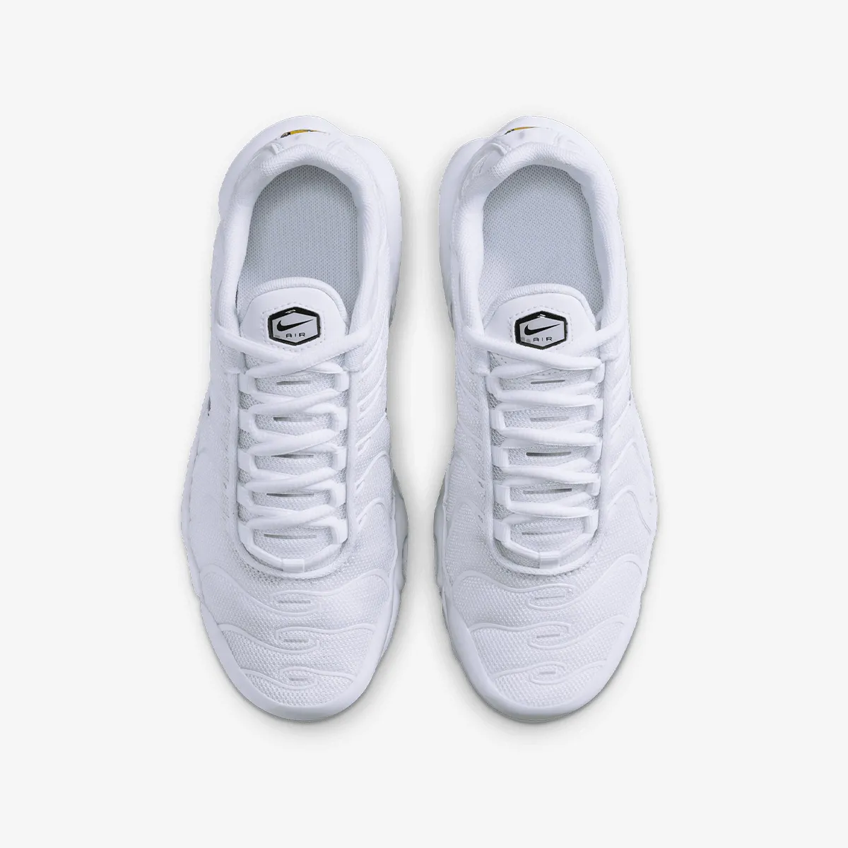 NIKE Patike AIR MAX PLUS BG