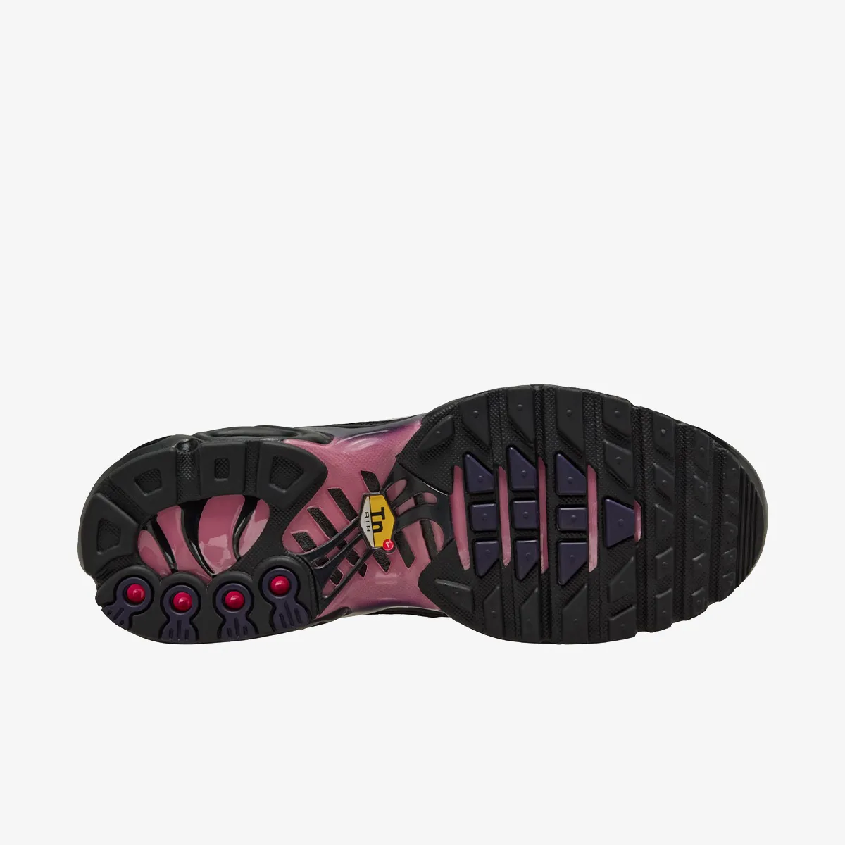 NIKE Patike W AIR MAX PLUS BODY FADE 