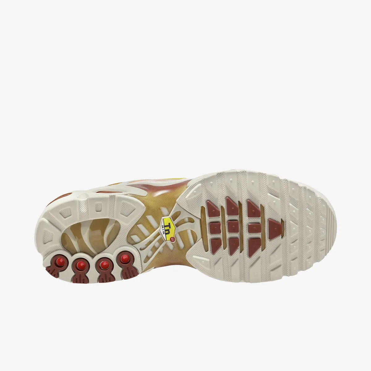 NIKE Patike W AIR MAX PLUS BODY FADE 