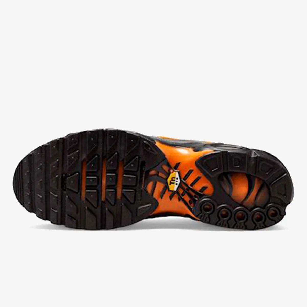 NIKE Patike AIR MAX PLUS 