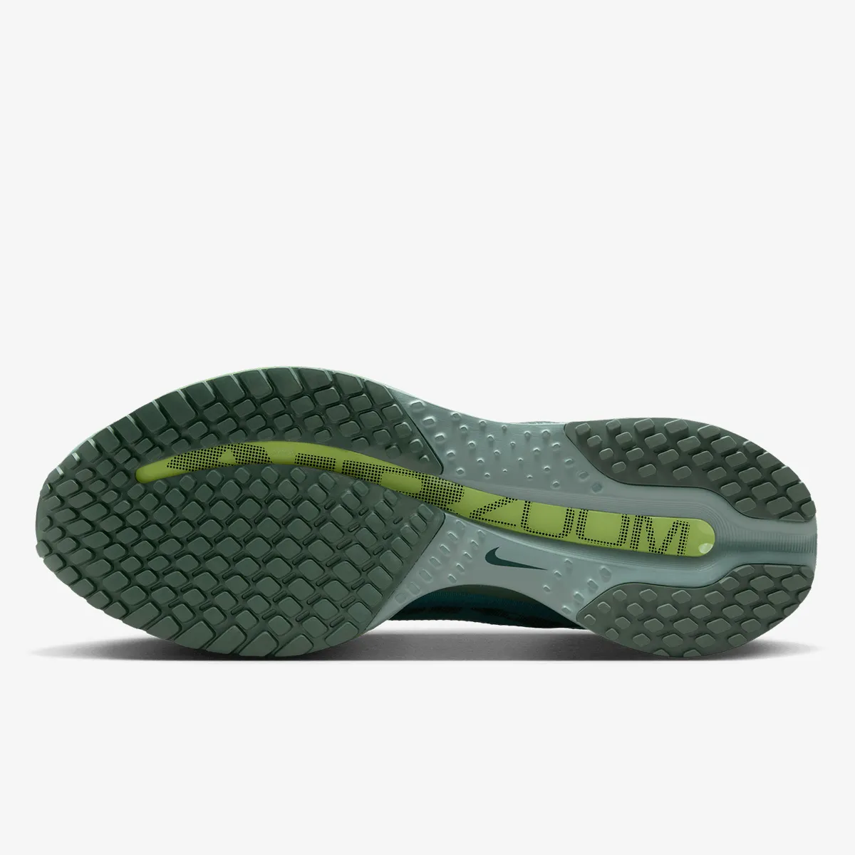 NIKE Patike PEGASUS PREMIUM 