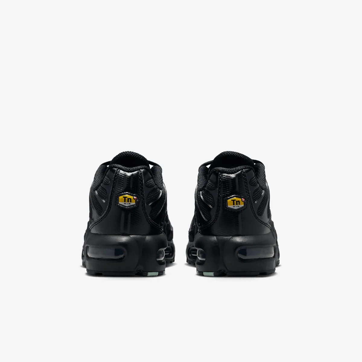 NIKE Patike NIKE AIR MAX PLUS GS MTDH