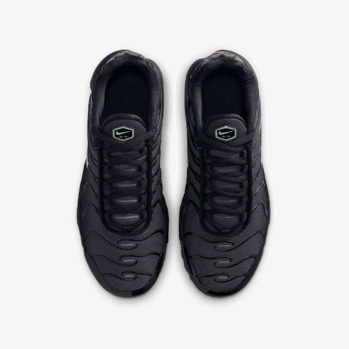NIKE Patike NIKE AIR MAX PLUS GS MTDH