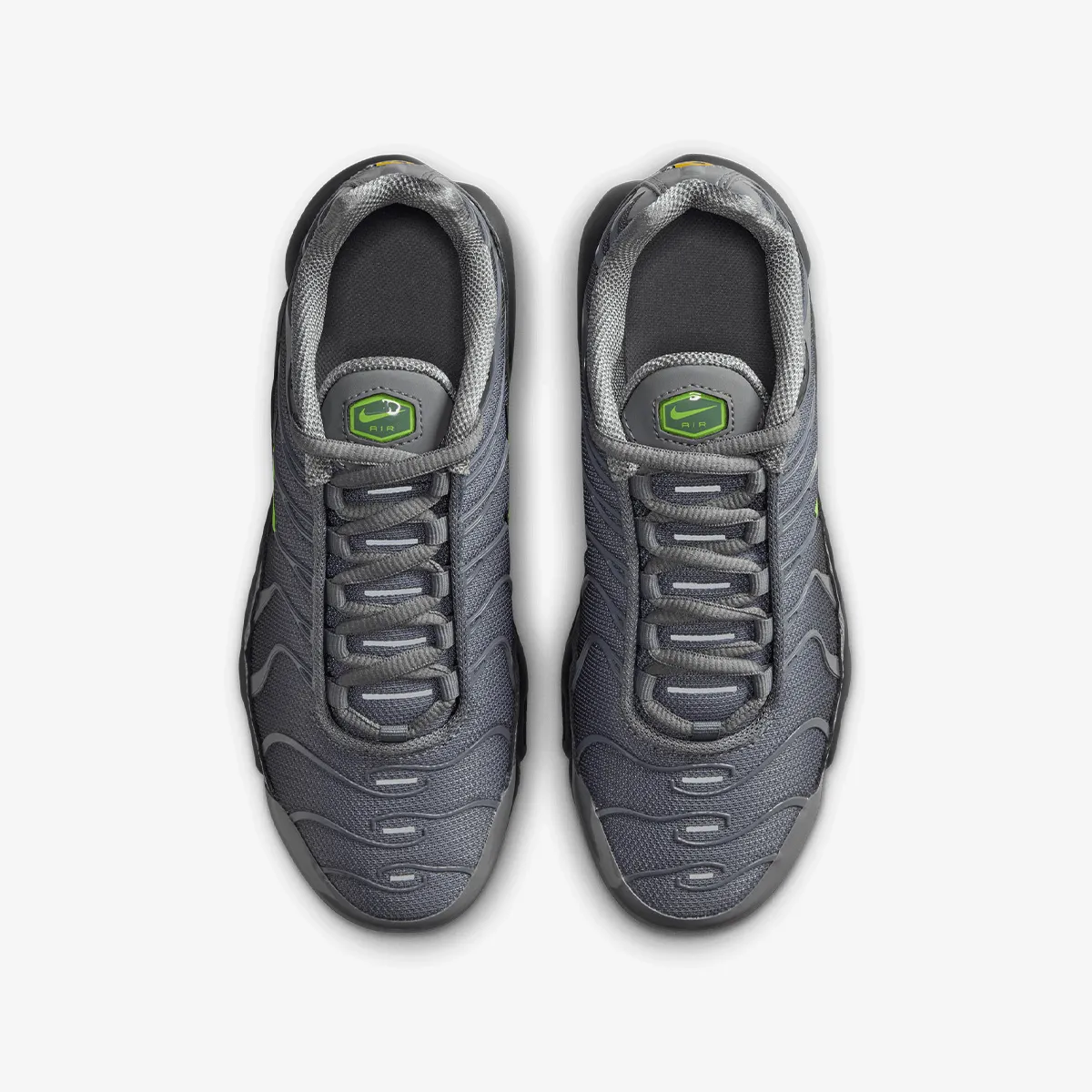 NIKE Patike NIKE AIR MAX PLUS GS MTDH