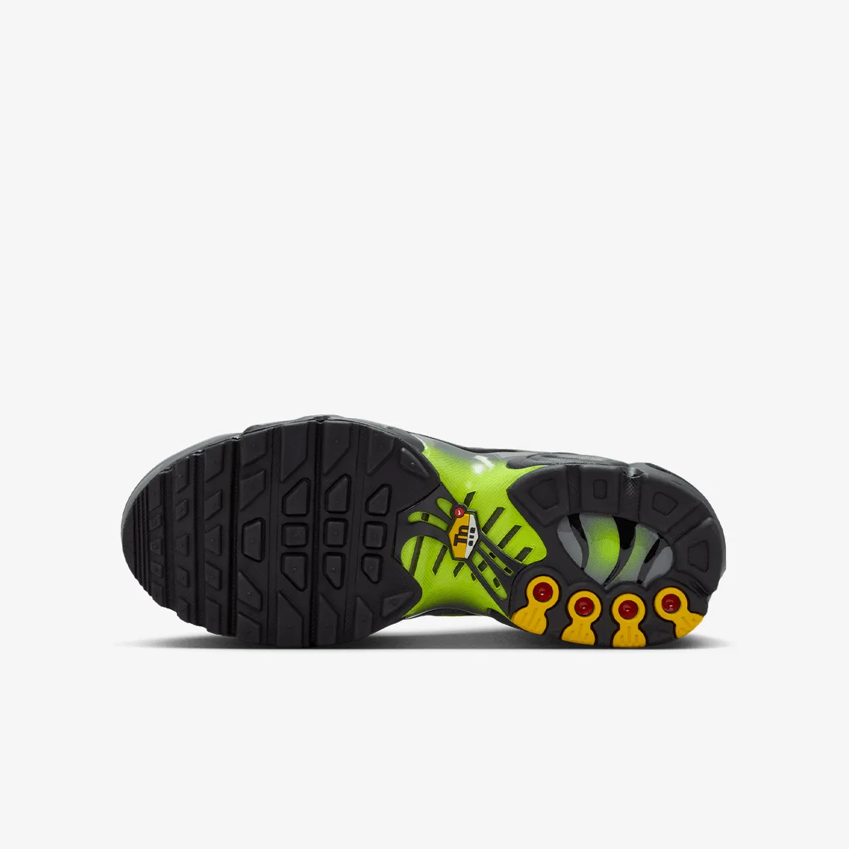 NIKE Patike NIKE AIR MAX PLUS GS MTDH