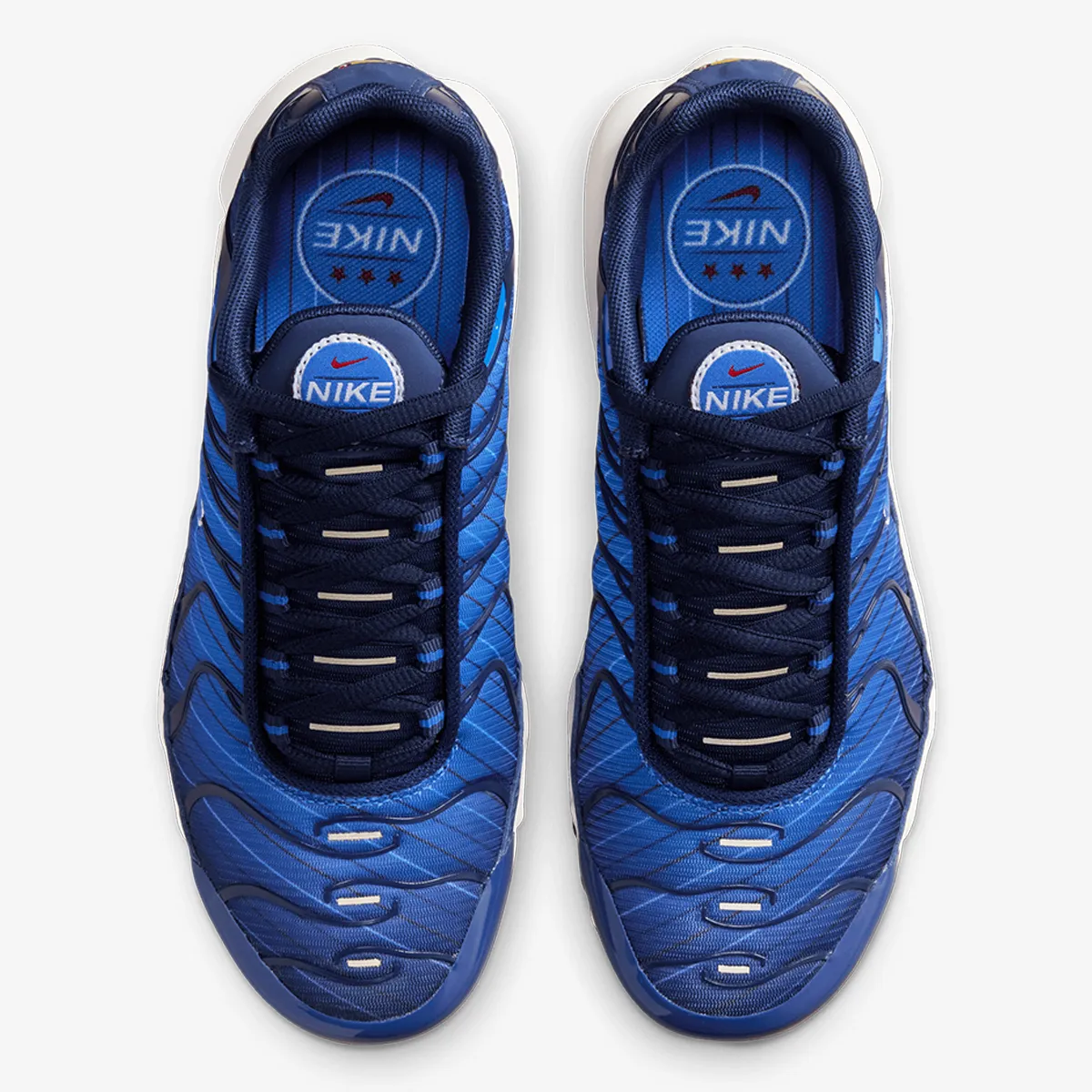 NIKE Patike AIR MAX PLUS SE WC BG