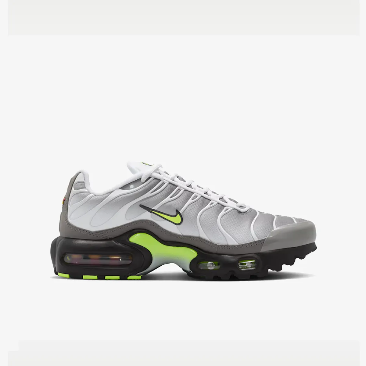 NIKE Patike NIKE AIR MAX PLUS GS AMD 