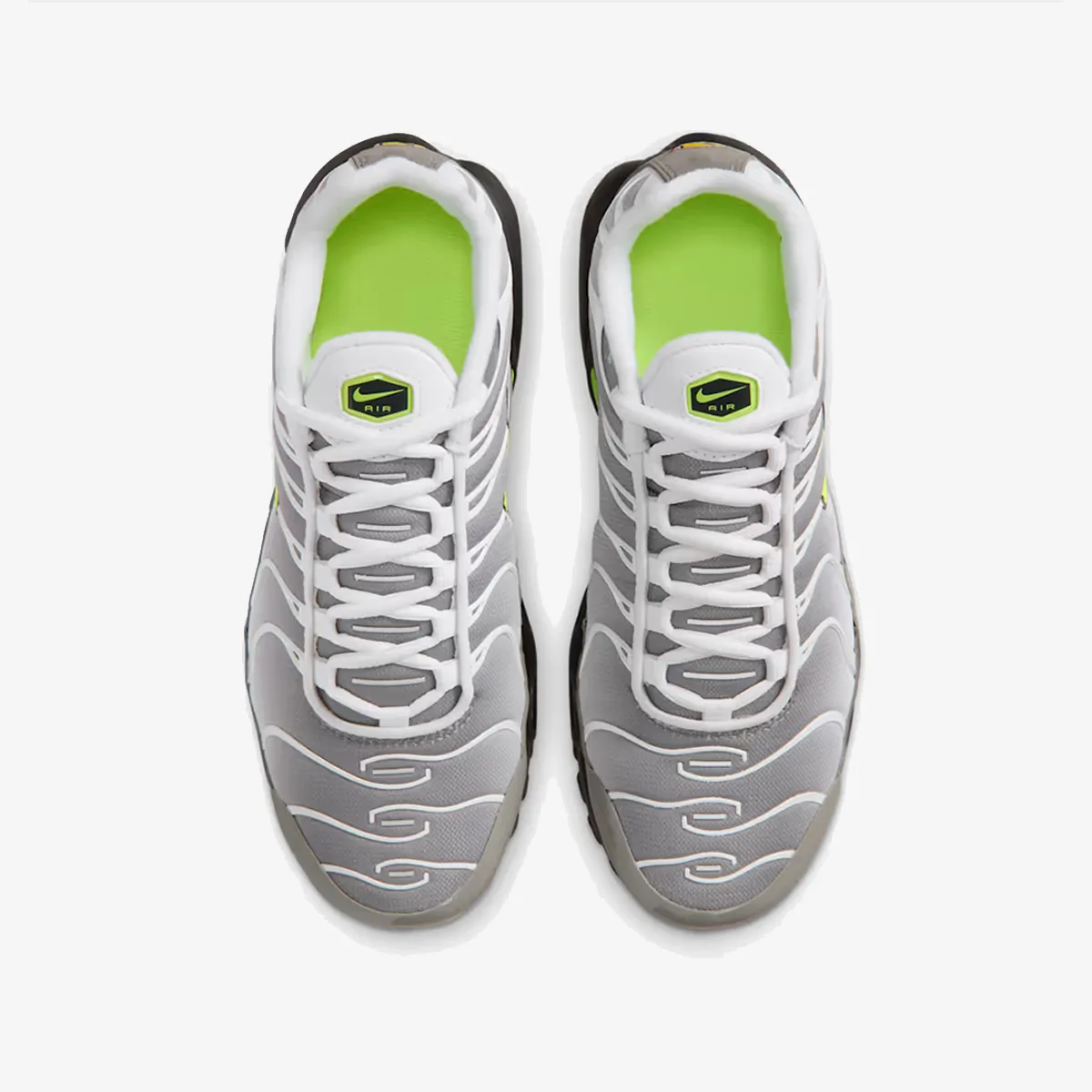 NIKE Patike NIKE AIR MAX PLUS GS AMD 