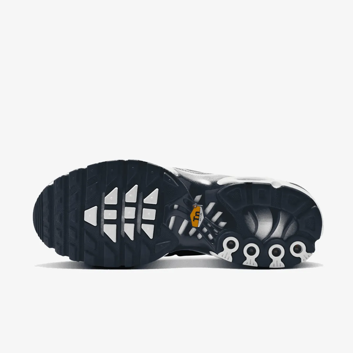 NIKE Patike W AIR MAX PLUS EMEA
