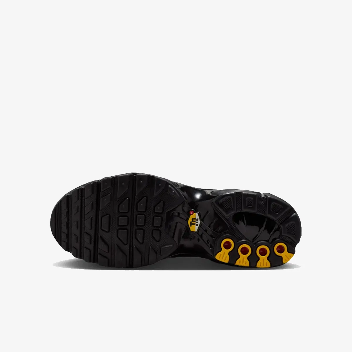 NIKE Patike AIR MAX PLUS PRM (GS) 