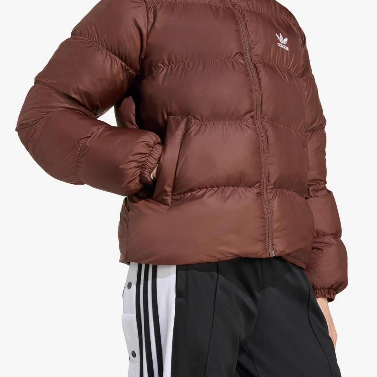 ADIDAS Jakna Adicolor Puffer