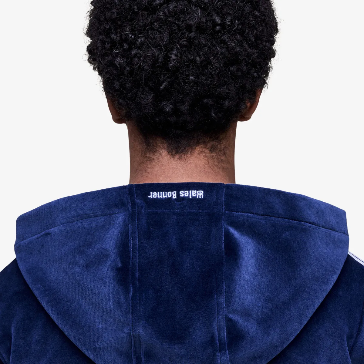 ADIDAS Jakna WB VELOUR TJ