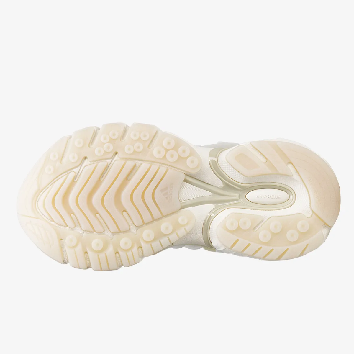 ADIDAS Patike PW ADISTAR JELLYFISH