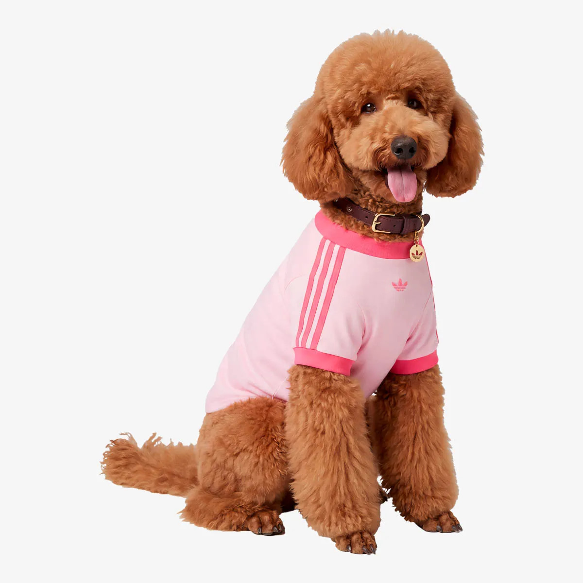 ADIDAS OGRLICA PET PET COLLAR