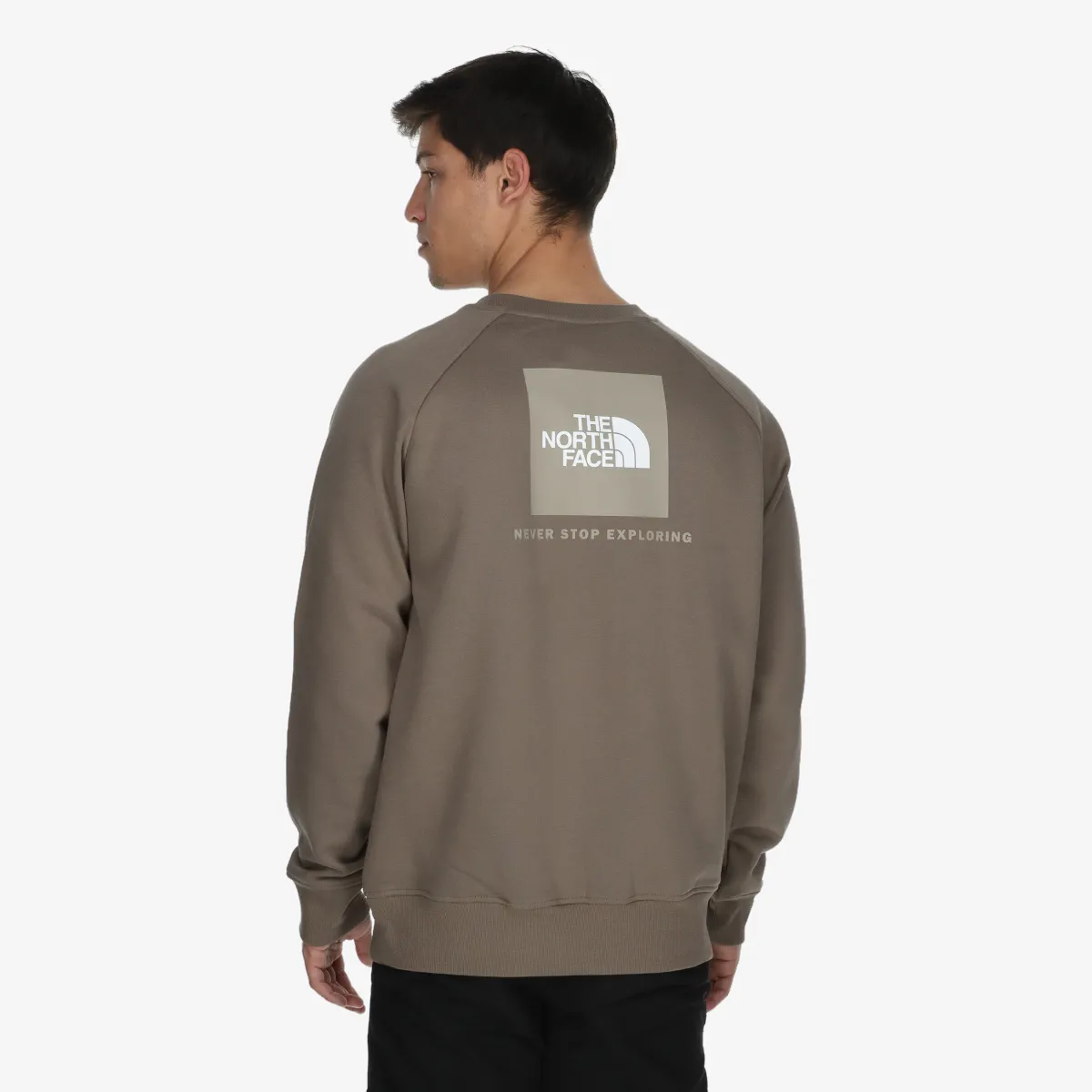 THE NORTH FACE DŽEMPER M RAGLAN BOX NSE CREW 