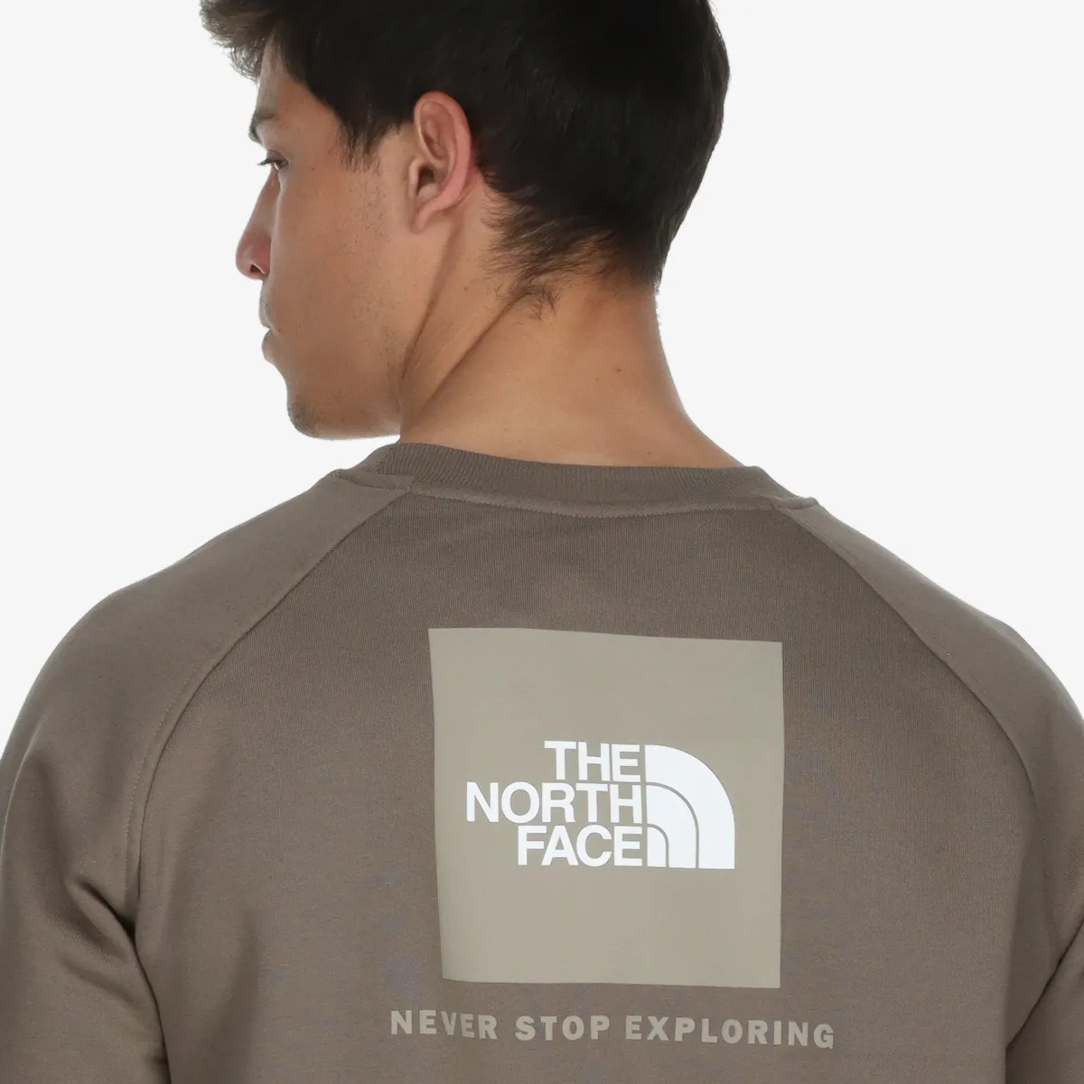 THE NORTH FACE DŽEMPER M RAGLAN BOX NSE CREW 